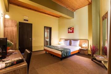 Фото номера Двухместный номер с 1 кроватью Отель Dragoman Hotel г. Драгоман 7